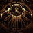Apointicus
