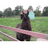 Heretic Llama