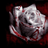 LucidNightmarez
