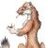 dracowar