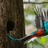 Captain Quetzal