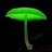 The Great Fungus