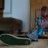 Drunken_step_dad
