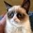 Purrificator