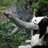 sleepypanda