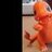charmander25