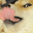 Dogemon