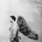 Castiel13