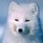 FireFox170