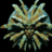 Mnemophage