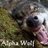 AlphaWolf13