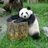 panda_communist