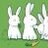 rabidrabbit