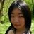 flyingwind66