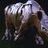 Rhino of Steel