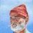 ZforZissou