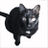 flyingkitty67