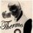 thermo1