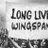Wingspan