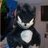slycooper20