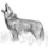 SoD_Timber_Wolf