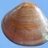 MalloClam