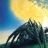 Kandon Arc