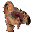 Dingoman013