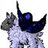 noctifyre
