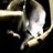 APPCRASH