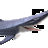 Lamnidae