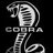 Cobra Dude