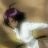 yoruichi