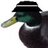 DuckDuckGoose