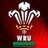 WelshWizard