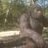 GrouchyBigfoot