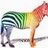LiberalZebra