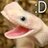 The Lizard of Odd