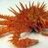 King Crab