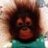 bloodychimp