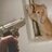 Kittenmauler