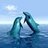dolphinsexed