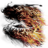 Nazz3