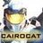 cairocat