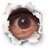 Bill_Stanbrook