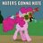 sir.rutthed