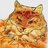 pastacat