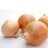 TastyOnions