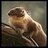 TheOtter