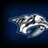 wildcat5286